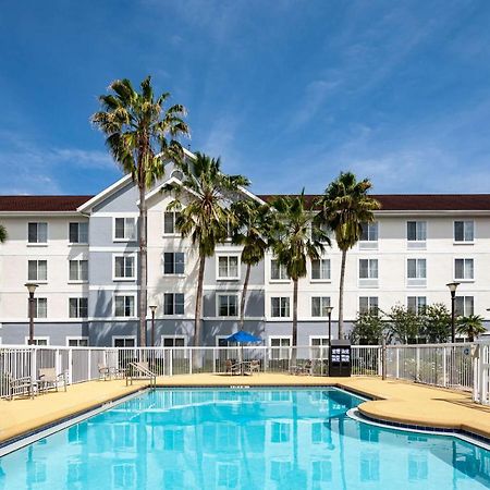 Homewood Suites By Hilton Гейнсвилл Экстерьер фото